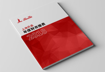 j9官网2018年度财务报表